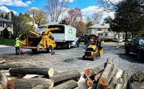 Best Emergency Tree Removal  in William Paterson University Of New Jersey, NJ